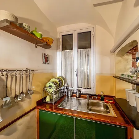 Lovingenoa Natural - Light 제노바