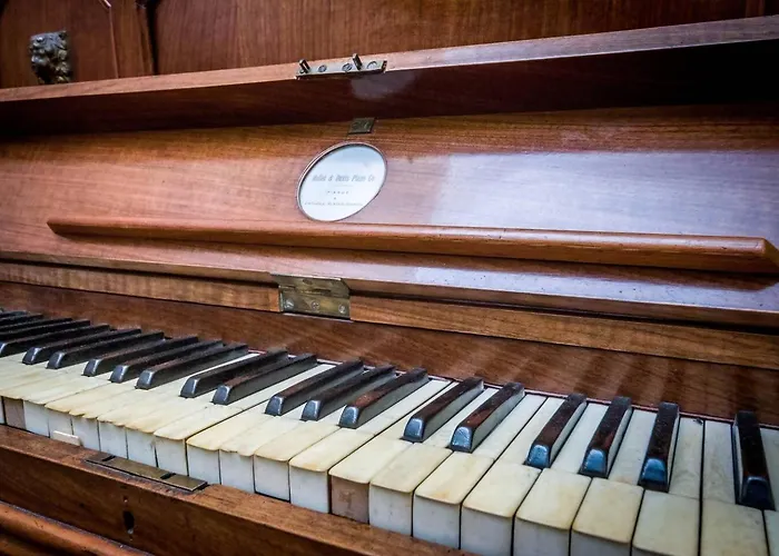 Lovingenoa Natural - Light *